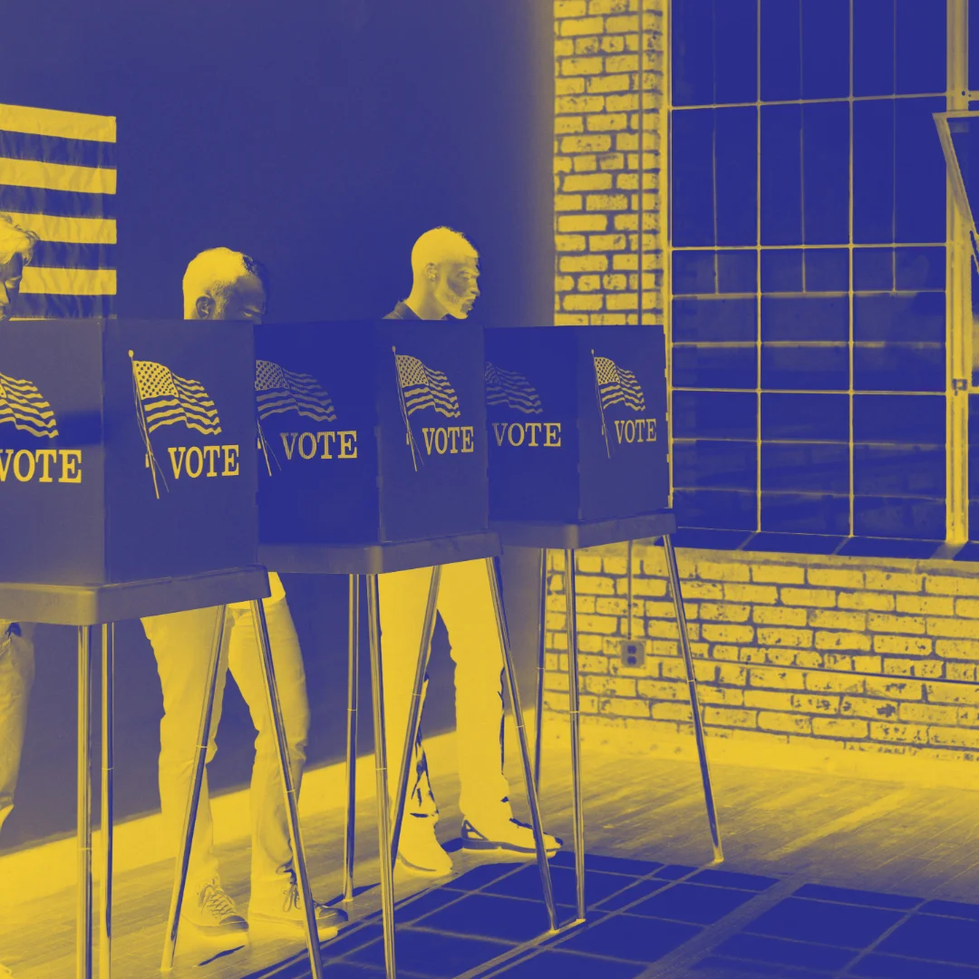 Election brigade | citizens advocacy for election integrity
